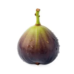 Fig tree with fruit