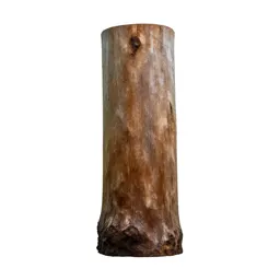 Kauri trunk