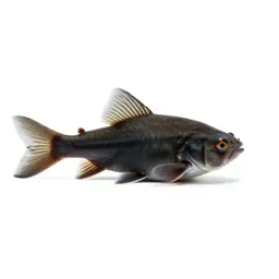 Bottom-feeder