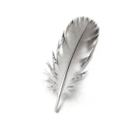Contour feather