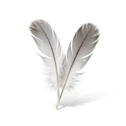 Feather