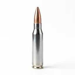 Ammunition