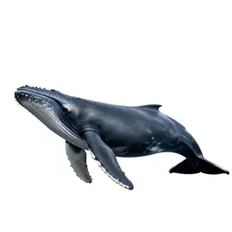 Baleen whale