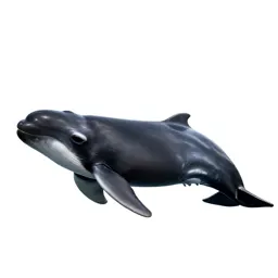 Bottle-nosed whale