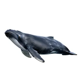 Bowhead