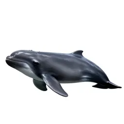 Dwarf sperm whale