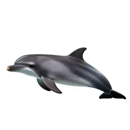 Grampus