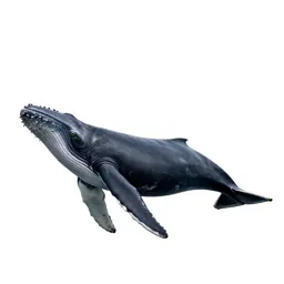 Humpback