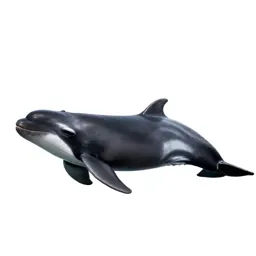 Pilot whale