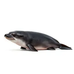 Porpoise