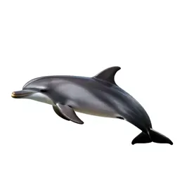 River dolphin