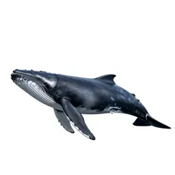 Rorqual