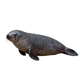 Sea cow