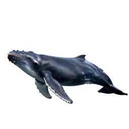 Sperm whale