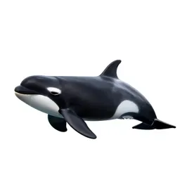 Toothed whale