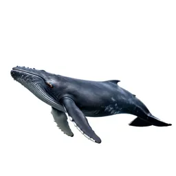 Whale