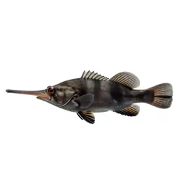 Cornetfish