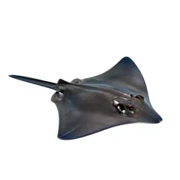 Cownose ray