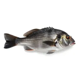 Dory