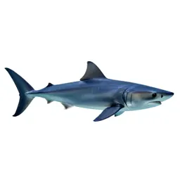 Longfin mako