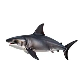 Smooth hammerhead