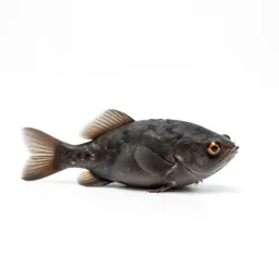 Stickleback
