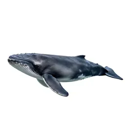 Whale louse