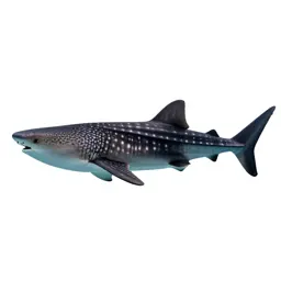 Whale shark