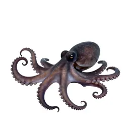 Octopod