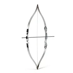 Bow and arrow