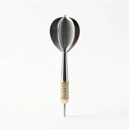 Dart