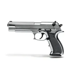 Gun