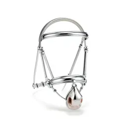 Bridle