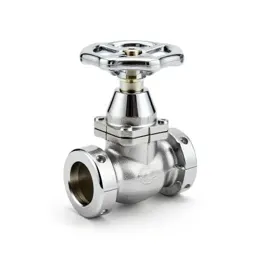 Clack valve