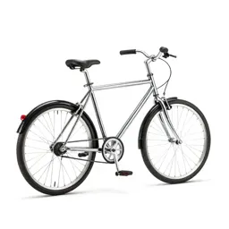 Coaster brake
