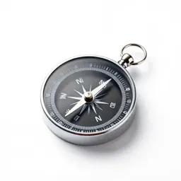 Compass card
