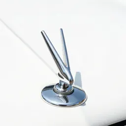 Hood ornament