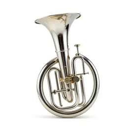 Bass horn