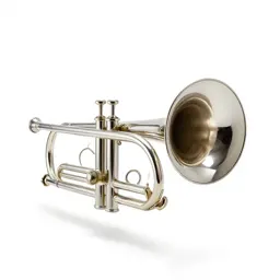 Flugelhorn