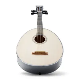 Lute