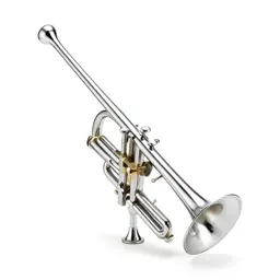 Musical instrument