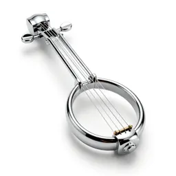 Stringed instrument