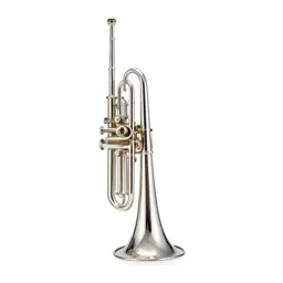 Wind instrument