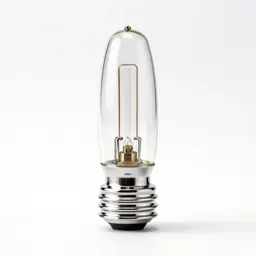 Neon lamp