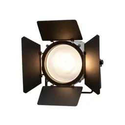 Theater light