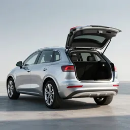 Beach wagon