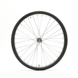 Bicycle wheel