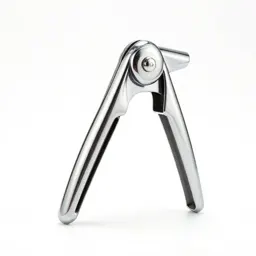 Garlic press