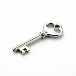 Watch key