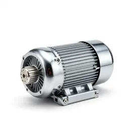 Electric motor